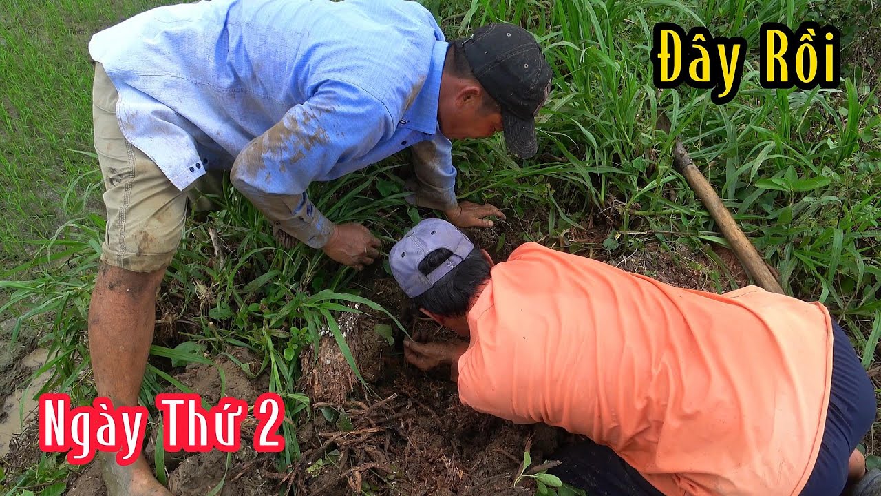 Ngày Thứ Hai Tìm Con Rắn Độc Để Lại Lớp Da Hơn 1,5kg | Mười Thương SB