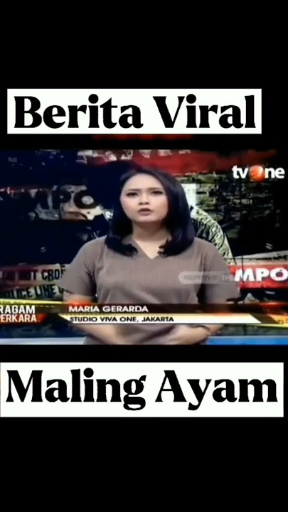 maling ayam #maling #ayam #meme #short #berita #fyp