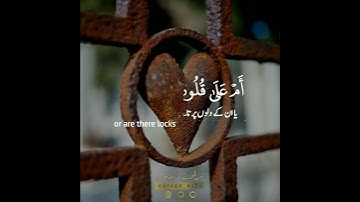 ⁉️📖أفلا يتدبرون القرآن أم على قلوب أقفالها🔒سورة محمد:٢٤|أحمد خضر|Surah Mohammed:24|Ahmed Khedr