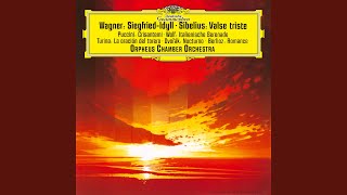 Dvořák: Notturno in B Major, Op. 40, B. 48a