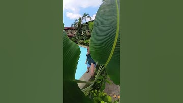 INSTA360 X3 Deep track