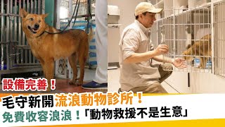 毛守新開流浪動物診所！免費收容浪浪！「動物救援不是生意」｜新假期【呢個香港人】