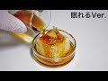 揚げ出し豆腐 眠れるVer.
