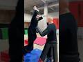 Martial Arts Sports Ninja Warrior Karate Obstacle Course #karate #martialarts #taekwondo