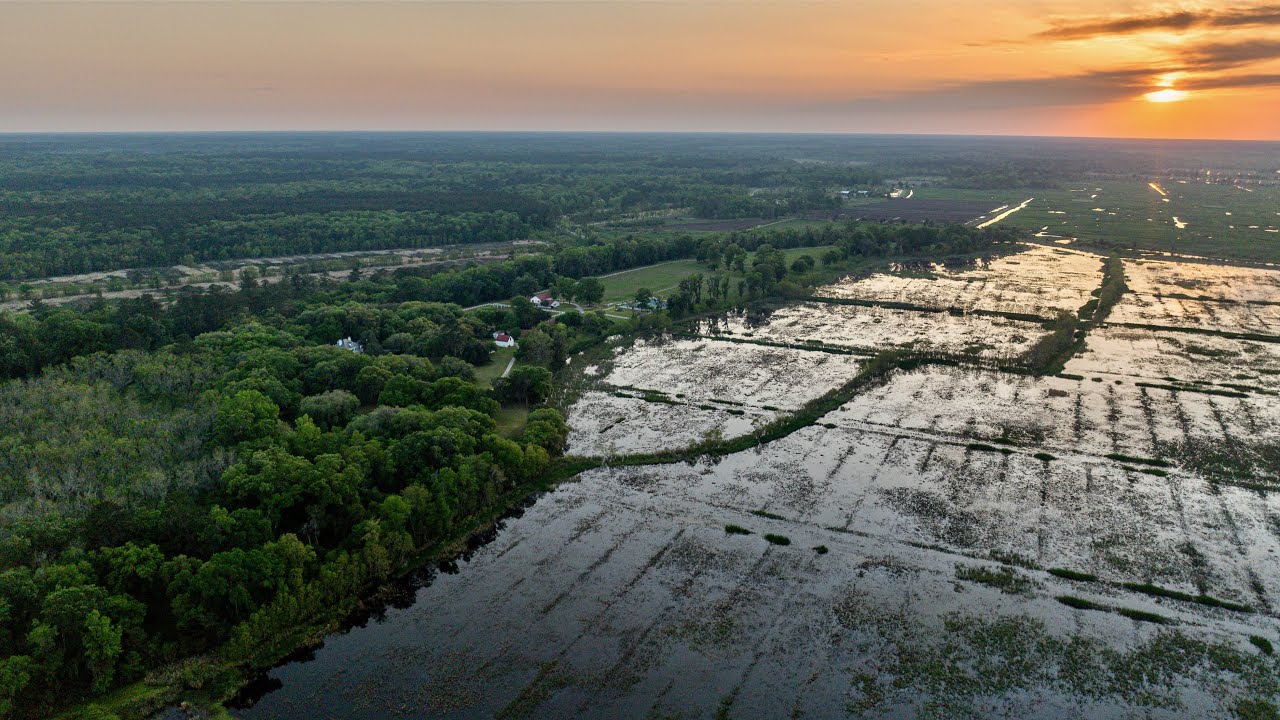 Bonny Hall Plantation: 86 +/- Acre Historic Estate On The Combahee River In SC's ACE Basin!