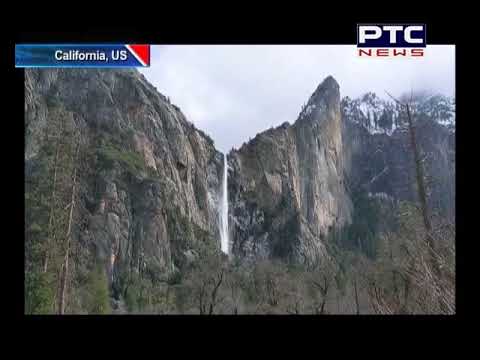 Coyotes, bobcats and bears Wildlife is reclaiming Yosemite