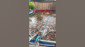 DIY Venturi Aerator - using PVC blue pipe fittings #venturi #fish #farming #agriculture