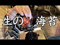三番瀬で採れた海苔！これでうまいもん作るよ！