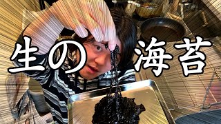 三番瀬で採れた海苔！これでうまいもん作るよ！