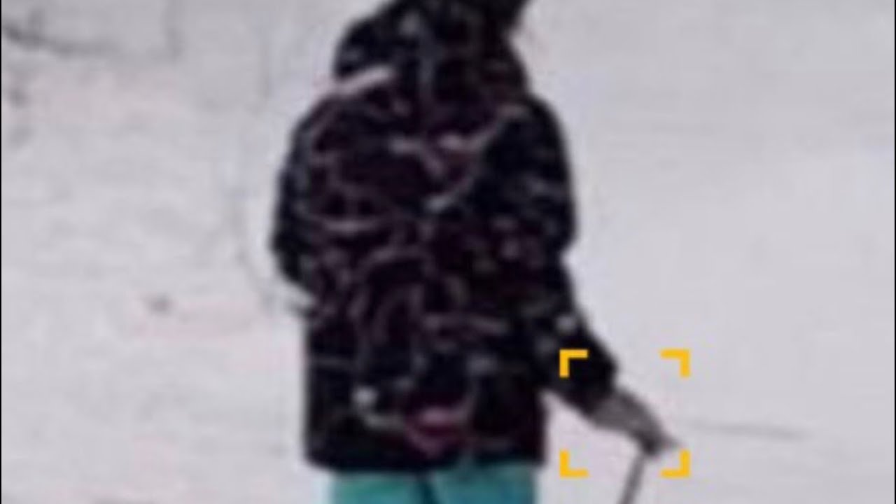 Криминалист раскрыл возможные причины похищения девочки в Смоленске