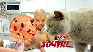 ЧЕРВОНА ЇЖА Челлендж/RED FOOD Challenge