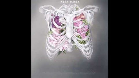 سورة الشرح🌹😍|هزاع البلوشي❤😍🌻