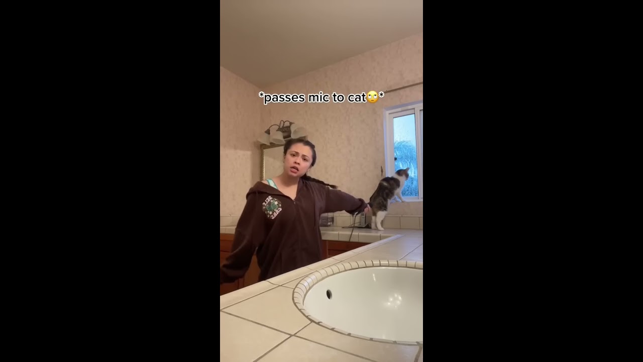 My Cat Slayed Lowkey Samantha Eve 