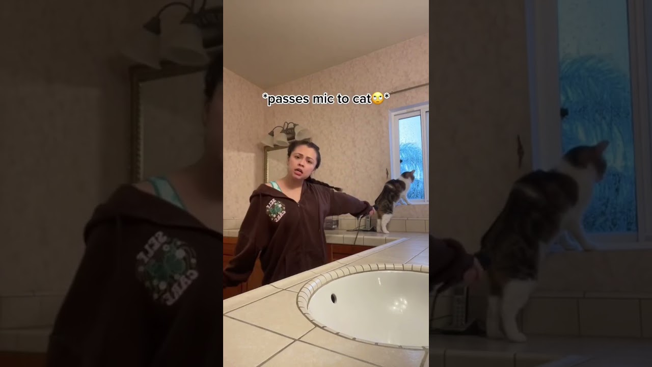 Ver my cat slayed lowkey ||Samantha Eve|| en YouTube Ver my cat slayed lowkey ||Samantha Eve|| en YouTube