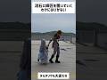 【原神】タルタリヤも色々と大変だな #shorts #原神 #genshinimpact #funny #genshin #タルタリヤ #スカーク