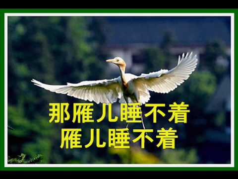 Lawmovieworld 09 : (06)  鳳飛飛..  雁兒在林梢.. ( 電影 "雁兒在林梢" 主題曲)