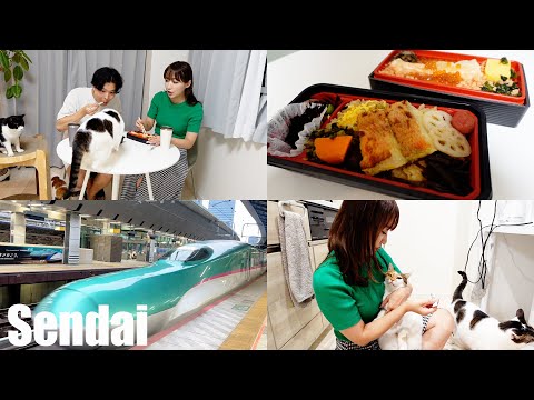 夫は在宅ワーク、妻は宮城県の仙台へ出張で2人ともお仕事day /駅弁とお土産を食べた1日/お弁当/VLOG