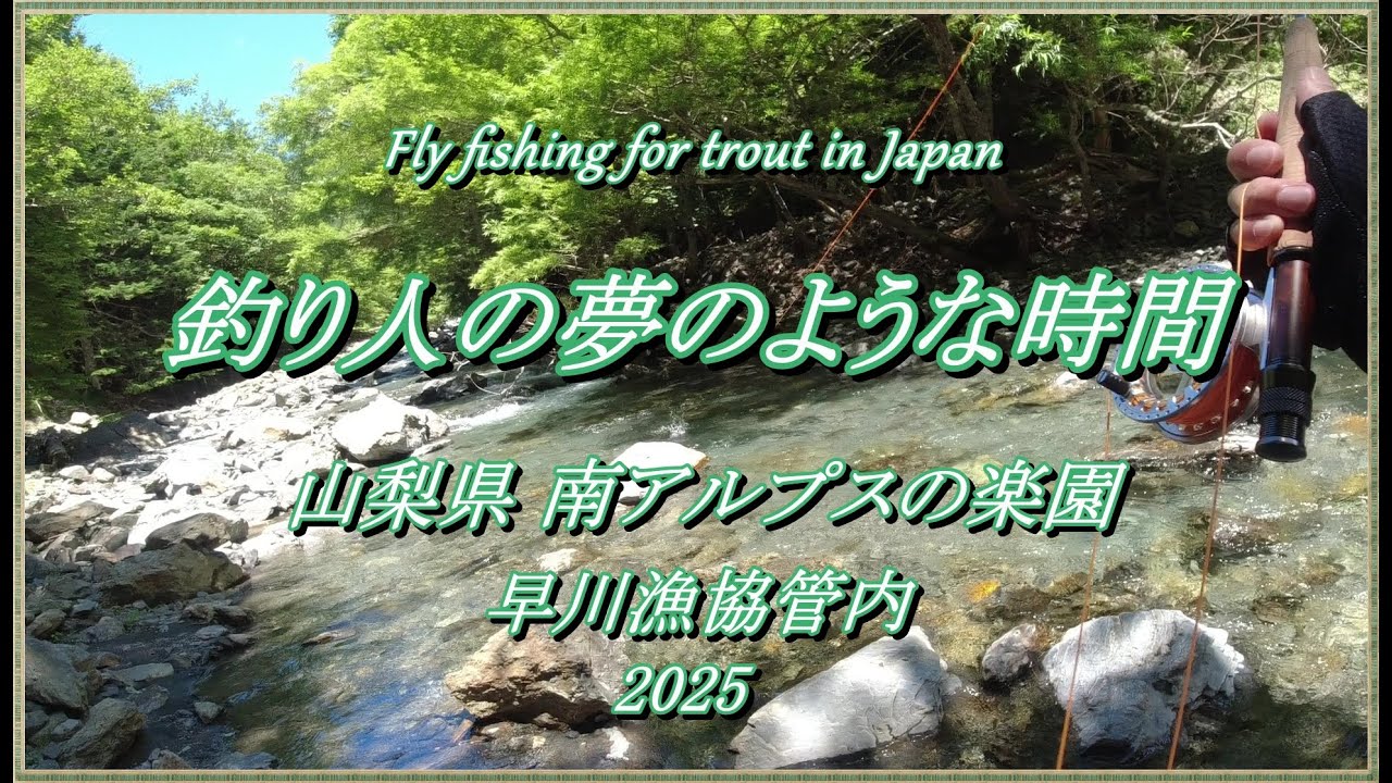 魚影の濃さにワクワクする♪ 素晴らしき南アルプスの楽園で夢のような時間を過ごす～ (^^♪ 《 野呂川 (北沢) 釣行 後編 》【 フライフィッシング 渓流釣り 】