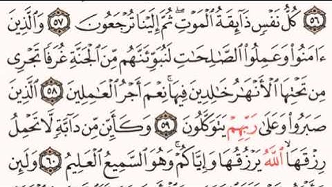 الصفحة رقم 403 الشيخ ماهر المعيقلي - القرآن الكريم - Quran