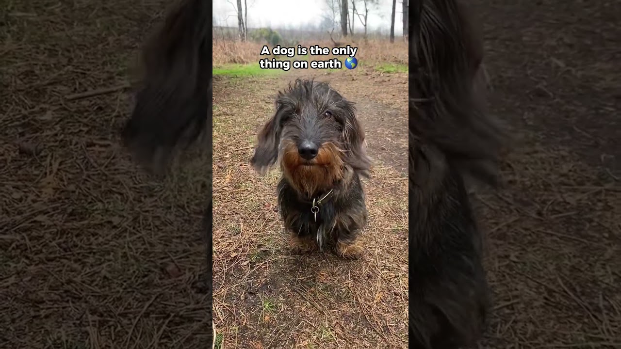 And that’s why we love them so much ❤️ 