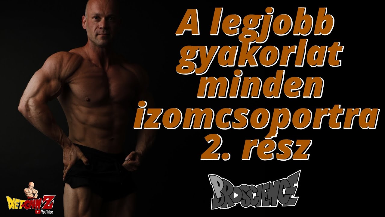 A legjobb gyakorlat minden izomcsoportra  2. rész   -  Dietgainz