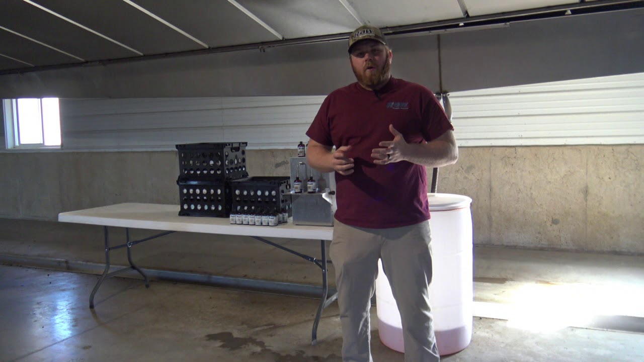 Collecting fresh deer urine