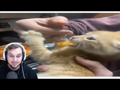 Blarg REACTS to THE MOST UNUSUAL MEMES