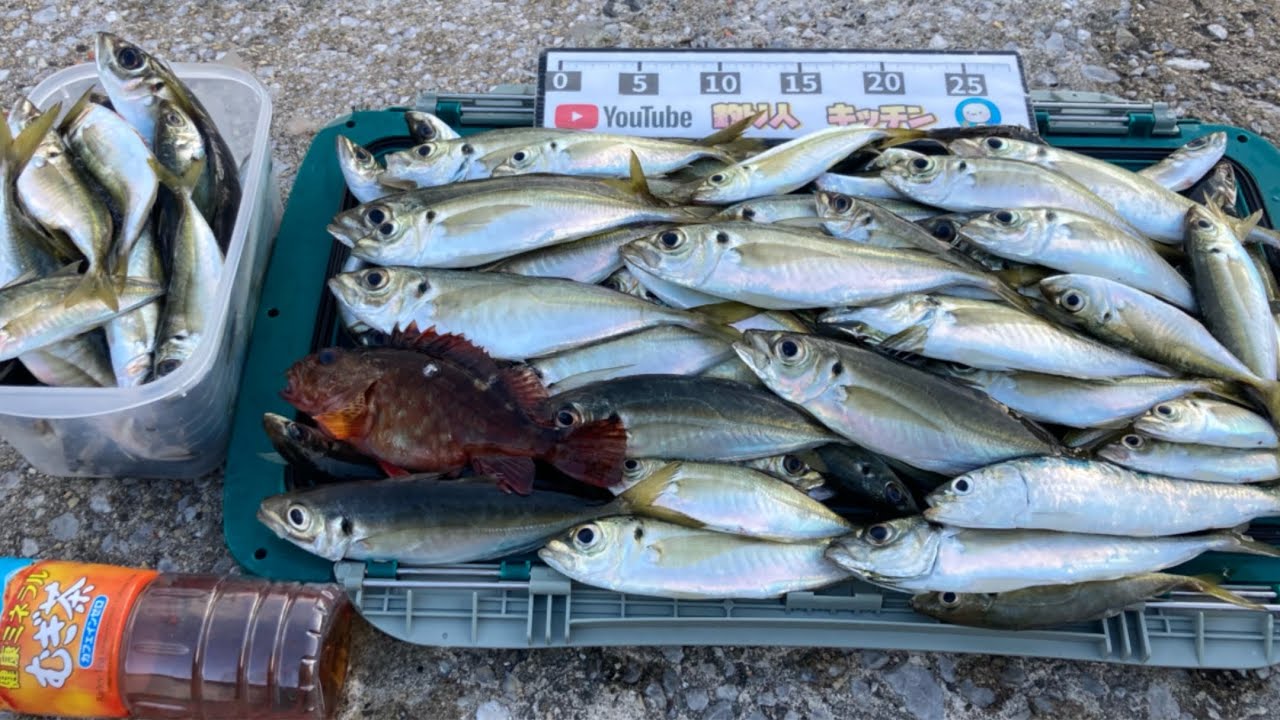 釣れない原因はこれだった。アジ爆釣のサビキと餌、教えます。