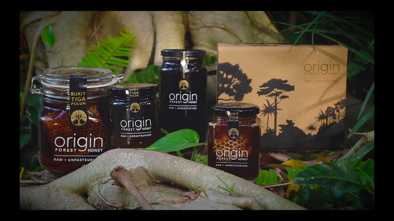 Origin Forest Honey : Saving Forests One Hive at a Time