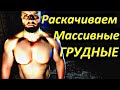 Раскачиваем массивные ГРУДНЫЕ (программа для продвинутых)