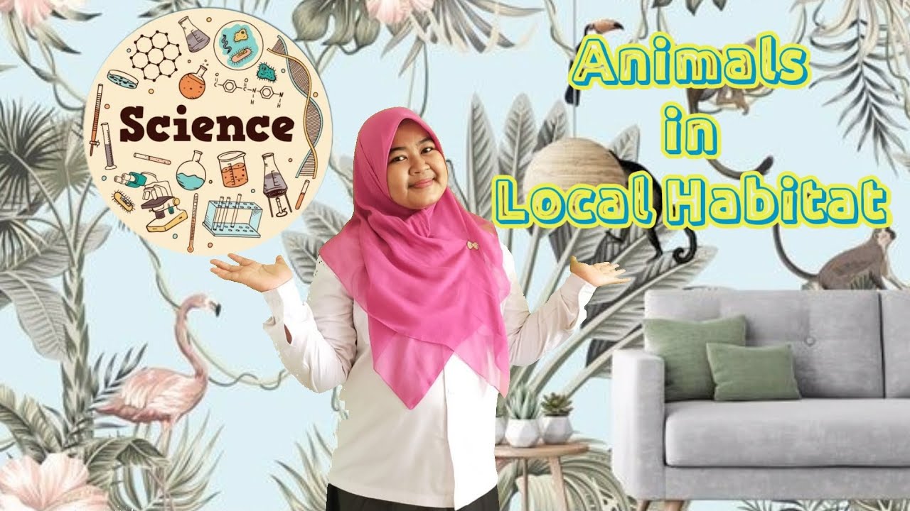 SCIENCE ANIMALS IN LOCAL HABITAT CAMBRIDGE GRADE 4 GIIS YouTube