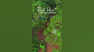 Cắm Trại Chill Giữa Rừng Thông B’lá – Trải Nghiệm Bình Yên Ở Bảo Lâm, Lâm Đồng  #camping #chill