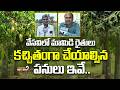 Mango Farmers : వేసవిలో మామిడి రైతులు కచ్చితంగా చేయాల్సిన పనులు ఇవే.. | Mega9tv