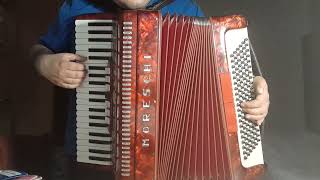 1976 #Abba Dancing Queen instrumental – #Fisarmonica #Accordion