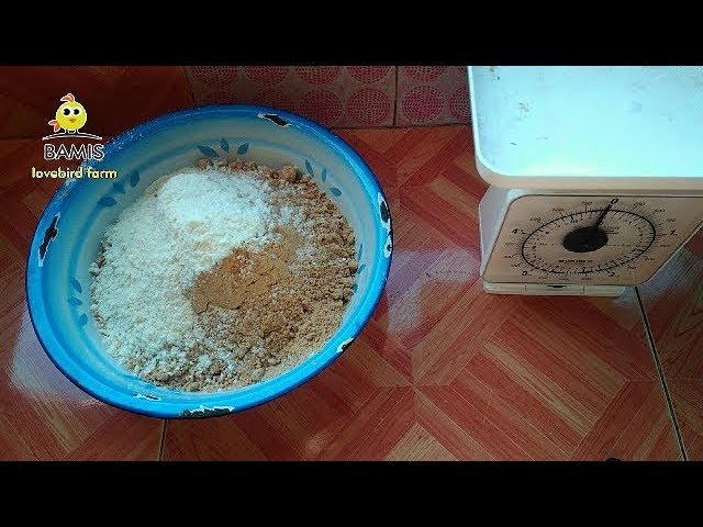 Cara membuat bubur loloh Lovebird - pakan bayi lovebird || BAMIS LOVEBIRD farm class=