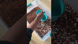 🌺🌸🌼Flower Sensory Bin🌼🌸🌺 #diy #preschoollearning #sensoryplay #sensory #spring #preschoolers