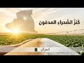 مشروع سيفيتال Cevital العملاق تشريح خطة السيادة الغذائية الجزائرية 