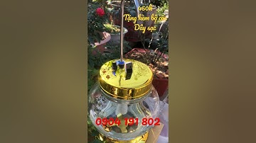 Bình rót rượu tự động 6.0