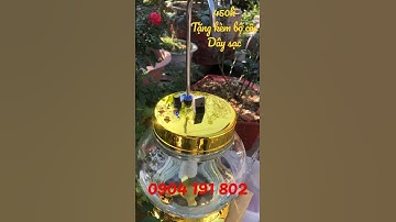 Bình rót rượu tự động 6.0