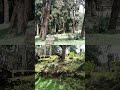 solar observatory Kodaikanal ##kodaikanal #trending #viral #videos #youtubeshorts
