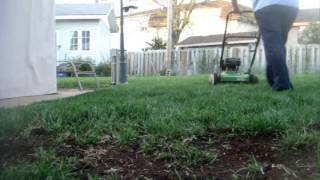 2nd May Lawn Cutting Vid - Lawnboy 10260 and Stihl FS90r and BR420 Magnum in Action