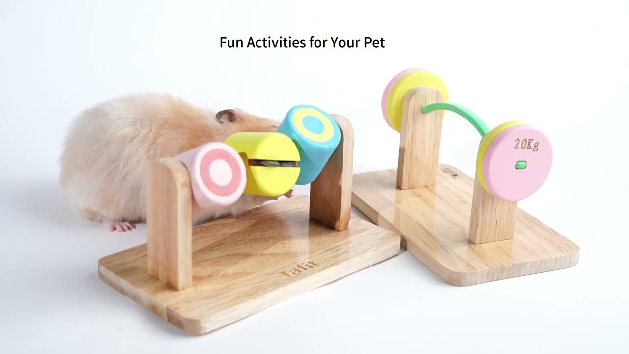 Tafit Natural Wood Hamster Toys | Engaging Play for Small Pets