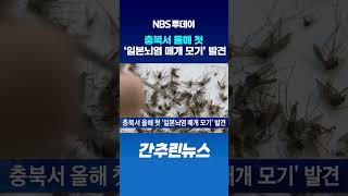 충북서 올해 첫 ‘일본뇌염 매개 모기’ 발견