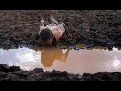 Vídeo: Tudo Sobre A água Como Fonte De Vida