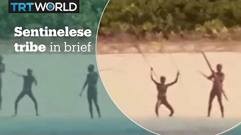 The Sentinelese tribe in brief