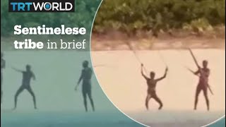 The Sentinelese tribe in brief