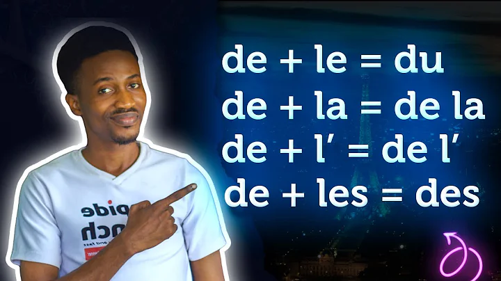 French Partitive Articles: du, de la, de l' and des