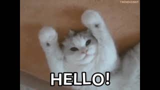 Hello kitty whattsapp animated gif screenshot 4