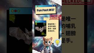 蝙蝠是唯一會飛的哺乳動物 - 翅膀其實是手。#百科 #常識 #冷知識