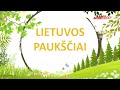 ✅ Lietuvos paukščiai | SmartkinderTV